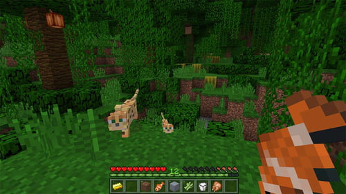 free download for mac minecraft